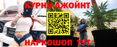 гашик Бийск