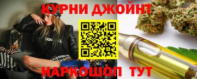 гашик Бийск