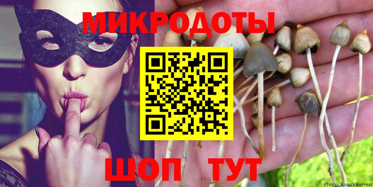 Каменка  Псилоцибиновые грибы Psilocybe  Вход с VPN 