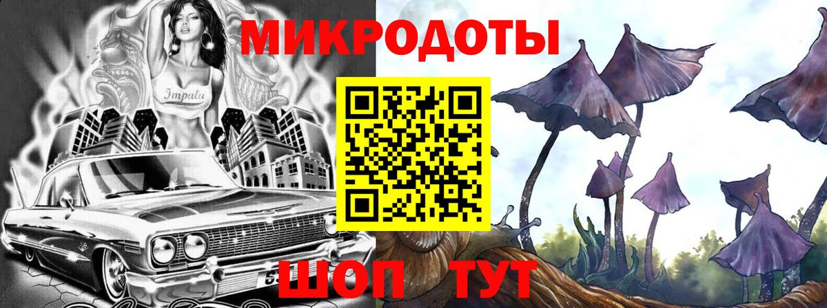 Галлюциногенные грибы ЛСД Каменка